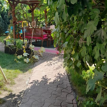 Olympe Villa Dessenheim Eksteriør billede